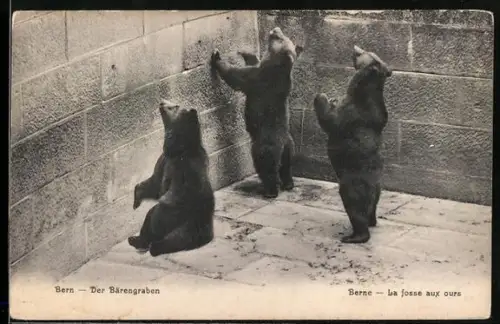 AK Bern, Der Bärengraben