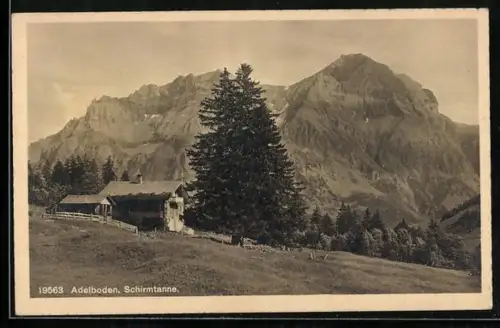 AK Adelboden, Schirmtanne