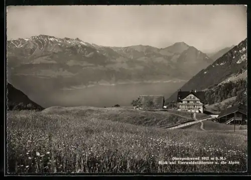 AK Gersau, Gasthaus Obergschwend mit Vierwaldstättersee