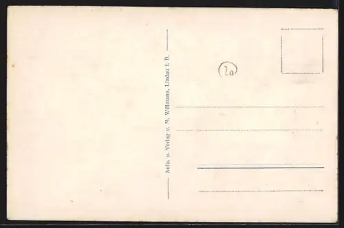 AK Bregenz, Hafen mit Dampfer