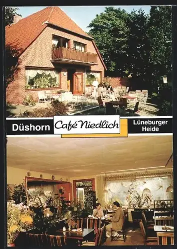 AK Düshorn, Café Niedlich, Innen- und Aussenansicht, Inh. Klaus Wischmann