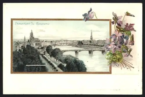 Lithographie Frankfurt a. M., Panorama