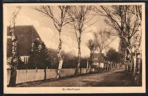 AK Gr. Häuslingen, Dorfstrasse mit Wohnhäusern und Birkenallee