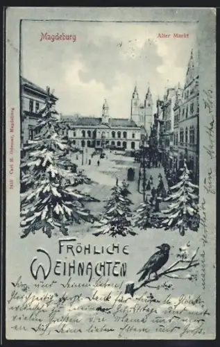 AK Magdeburg, Alter Markt, Weihnachtsmotiv