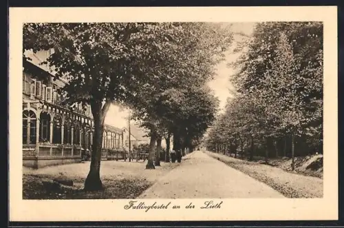 AK Fallingbostel, Allee mit Gebäuden, An der Lieth