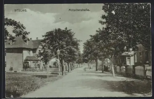 AK Bitburg, Mötscherstrasse, Panorama