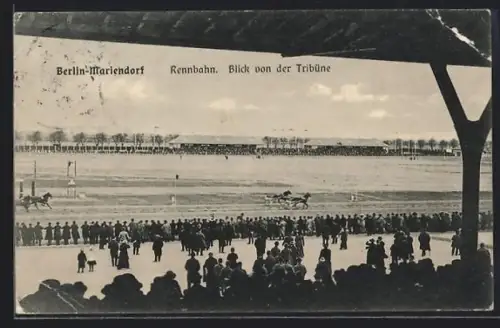 AK Berlin-Mariendorf, Rennbahn, Blick von der Tribüne