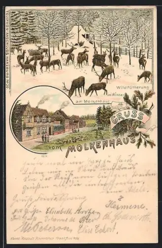 Lithographie Bad Harzburg, Gasthof Molkenhaus, Wildfütterung im Winter