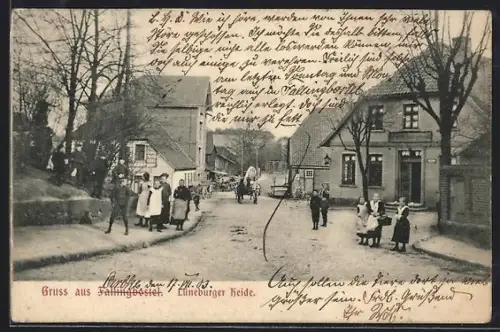 AK Fallingbostel /Lüneburger Heide, Blick in den Ort