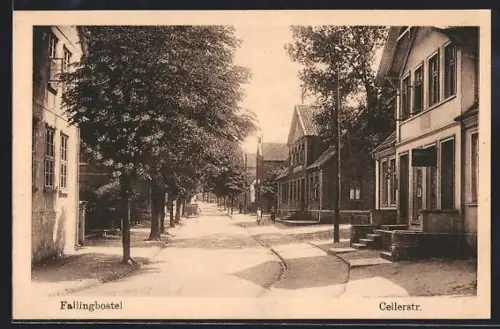 AK Fallingbostel, Blick in die Cellerstrasse