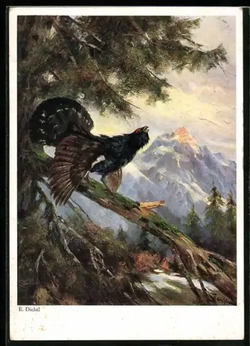 AK Auerhahn auf einem Ast vor einem Bergpanorama
