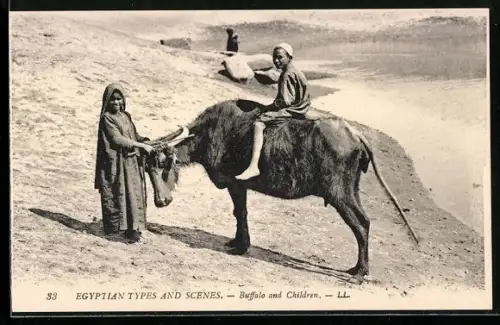 AK Egyptian Types and Scenes, Buffalo and Children