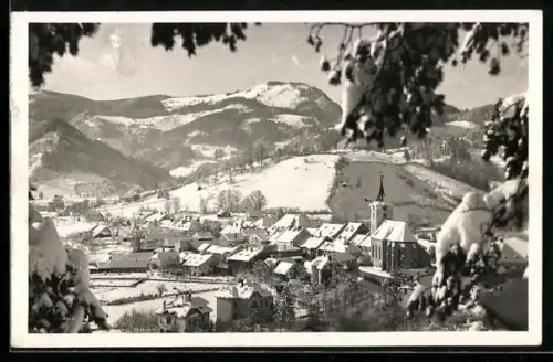 AK Türnitz, Panorama im Winter