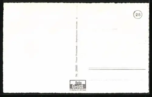 AK Rheineck, Ortspartie am Rhein