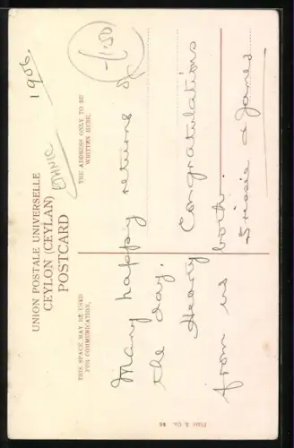 AK Ceylon, Tree climbers