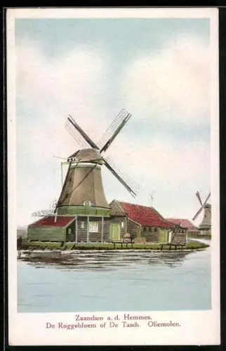 AK Zaandam a. d. Hemmes, De Roggebloem of De Tasch, Oliemolen, Windmühle