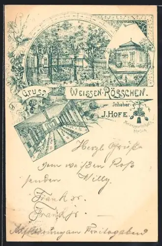 Lithographie Mainz, Gasthaus Zum weissen Rösschen J. Hofe, Innenansicht, Pavillon