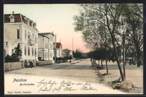 AK Parchim, Buchholzallee