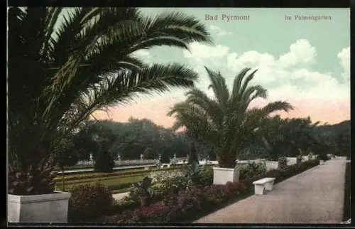 AK Bad Pyrmont, Im Palmengarten