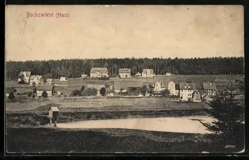 AK Bockswiese /Harz, Ortsansicht mit Teich und Wald