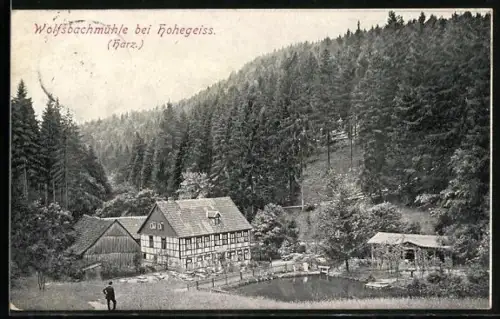 AK Hohegeiss /Harz, Wolfsbachmühle aus der Vogelschau