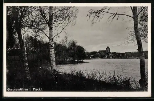 AK Grevesmühlen i. Meckl., Seeufer, Stadtansicht, Kirche