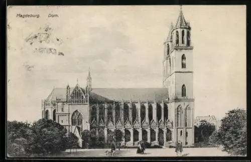 AK Magdeburg, Dom mit Strassenpartie
