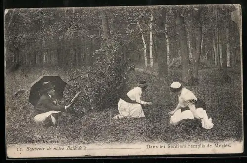 AK Dans les Sentiers remplis de Merles