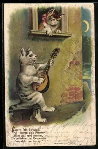 AK vermenschlichte Tiere, Kater spielt unter einem Fenster auf der Laute