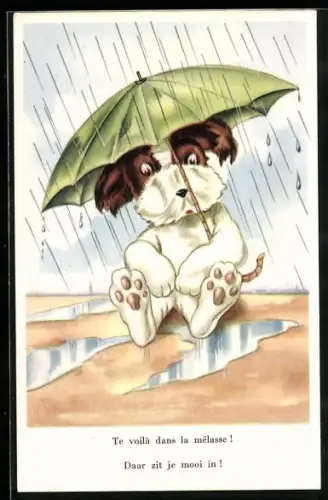 AK Hund mit grünem Regenschirm, vermenschlichte Tiere