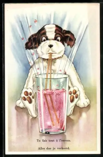 AK Hund trinkt mit Strohhalmen Brause, vermenschlichte Tiere