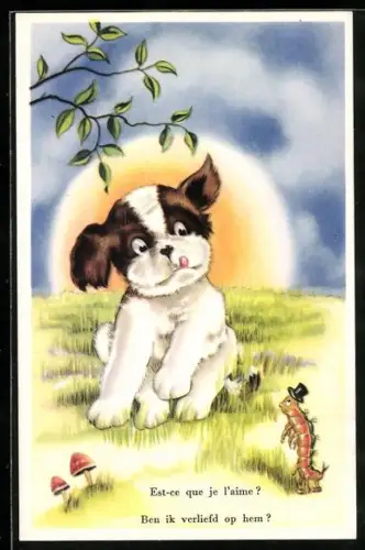 AK Hund schaut sich eine Raupe an, vermenschlichte Tiere