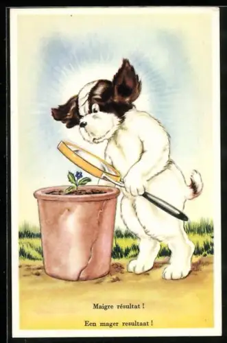 AK Hund schaut sich mit der Lupe Blume an, vermenschlichte Tiere