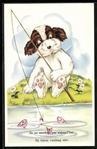 AK Hund beim erfolglosen Angeln, lachende Fische