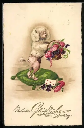 AK Pudel freut sich über Blumenkorb und Brief, Geburtstagsgruss