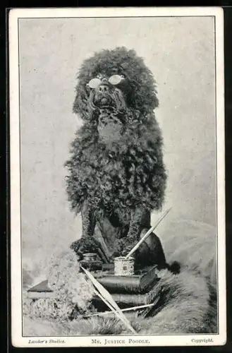 AK Mr. Justice Poodle, Pudel mit Brille und Malutensilien