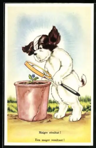AK Hund als Gärtner mit spärlichem Erfolg