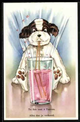 AK Hund bläst durch Strohhalm statt zu saugen