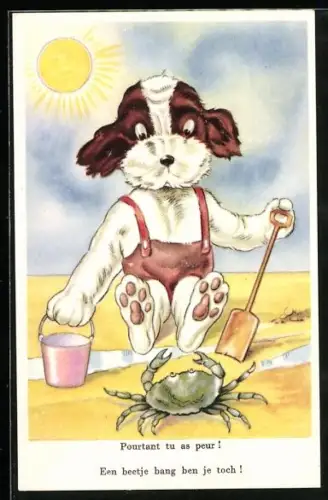 AK Hundekind in Shorts beäugt ängstlich eine Krabbe am Strand