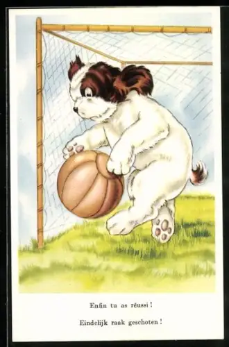 AK Hund als Torwart beim Ballspiel