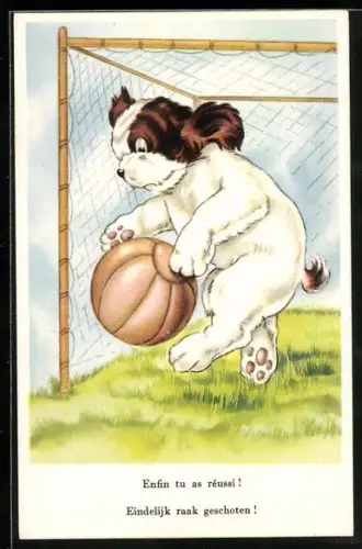 AK Hund als Torwart hält einen Ball