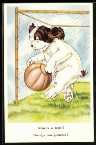 AK Hund im Tor hält einen Ball