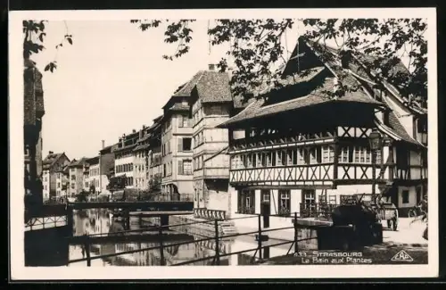 AK Strasbourg, Le Bain aux Plantes