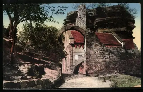 AK Zabern /Vogesen, Ruine Hohbarr
