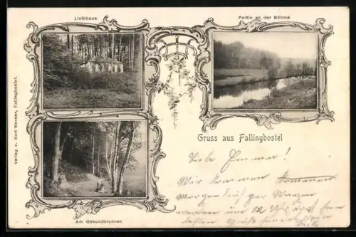 AK Fallingbostel /Lüneburger Heide, Liethhaus, Gesundbrunnen, Böhmepartie