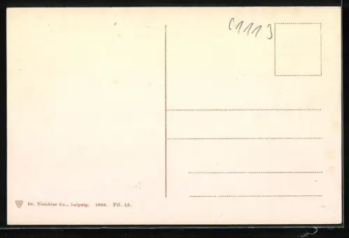 AK Fribourg, Pont suspendu