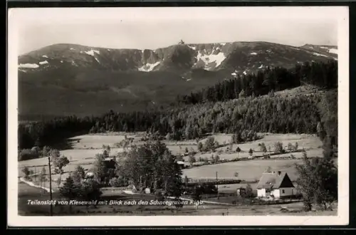 AK Kiesewald, Teilansicht mit Blick nach den Schneegruben