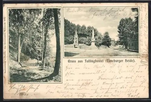 AK Fallingbostel /Lüneburger Heide, Waldweg, Partie im Ort