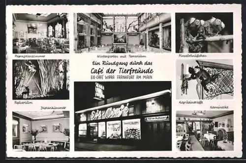 AK Alt-Frankfurt, Eis-Café Wipra Café der Tierfreunde, Wintergarten, Papageienzimmer, Kapitänskajüte