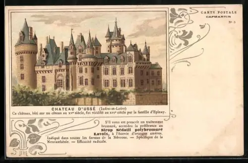Lithographie Ussé, le Château